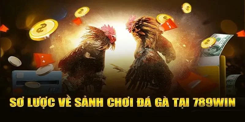 đá gà 789win Các loại hình đá gà hấp dẫn tại 789win