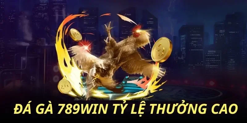 đá gà 789win Sức hút của đá gà 789win trong cộng đồng